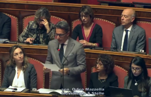 Scopri di più sull'articolo Il mio primo intervento al Senato