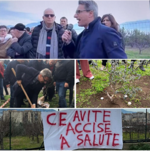 Scopri di più sull'articolo Un flash mob per accendere un riflettore sulla malasanità e piantare “L’albero della salute”